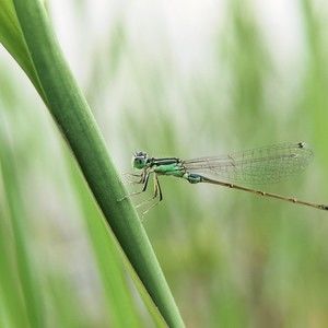 Meet your Posher, Fredrick